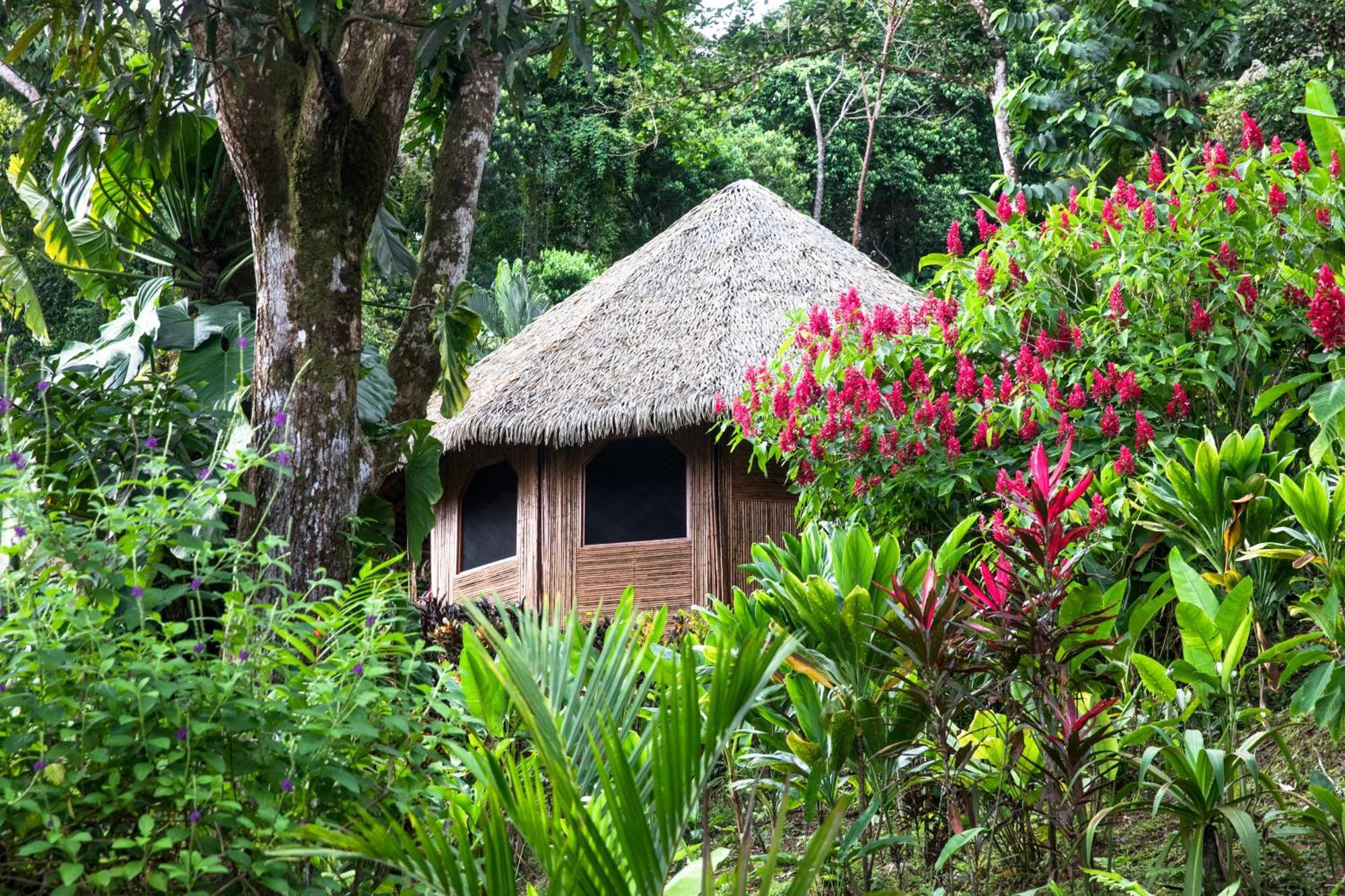Luna Lodge Carate Ngoại thất bức ảnh