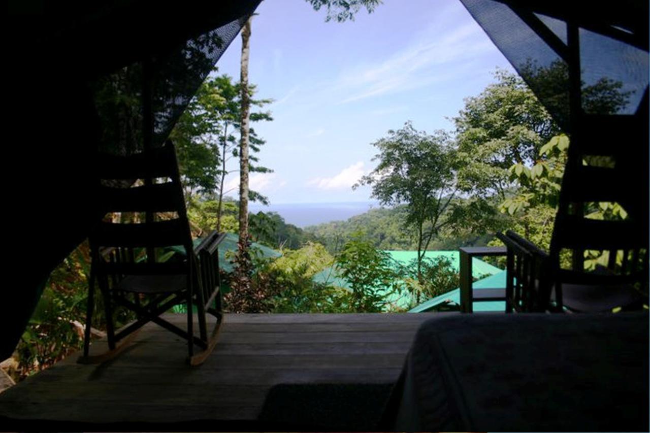 Luna Lodge Carate Phòng bức ảnh