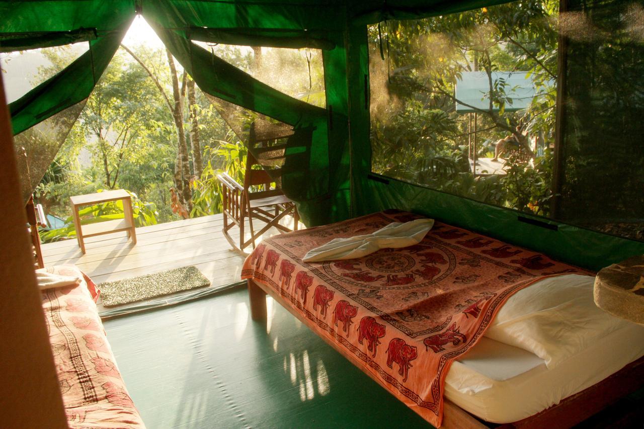 Luna Lodge Carate Phòng bức ảnh